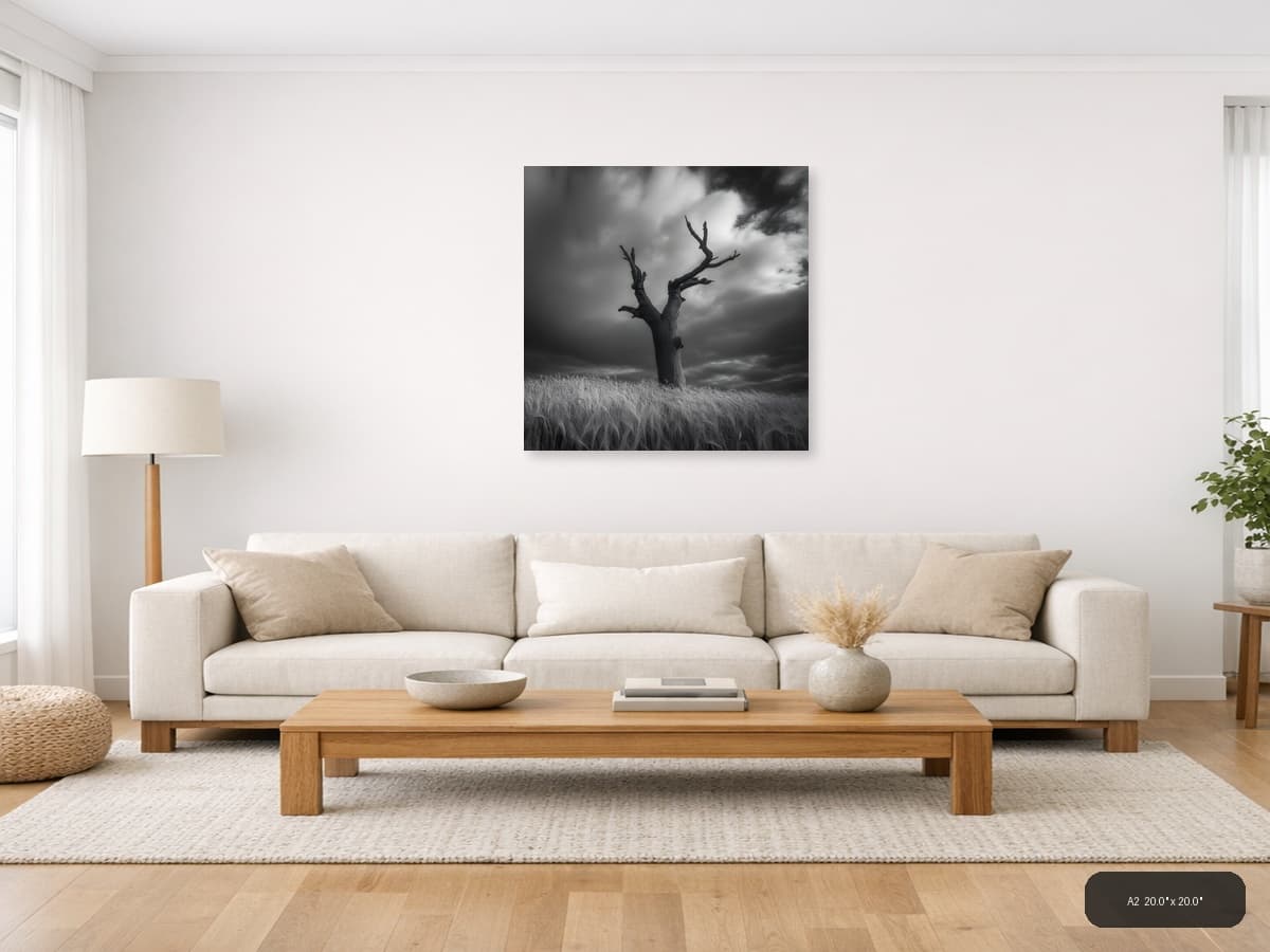 Dead Tree in Wheat Field Black and White Photography Wall Art shown in a room setting at A2