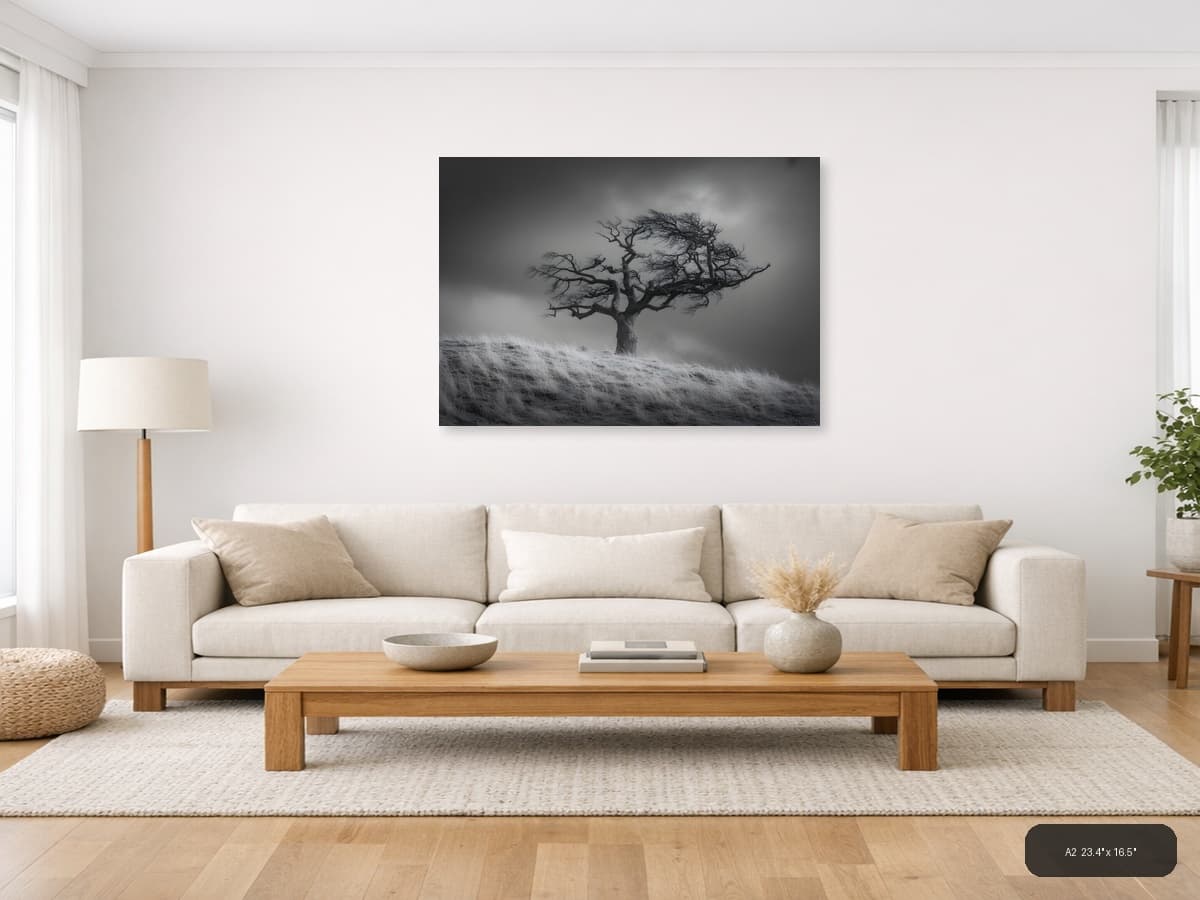 Windswept Tree Black and White Photography Wall Art shown in a room setting at A2