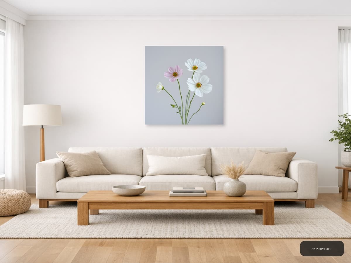 Minimalist Cosmos Flowers Pink White Wall Art shown in a room setting at A2