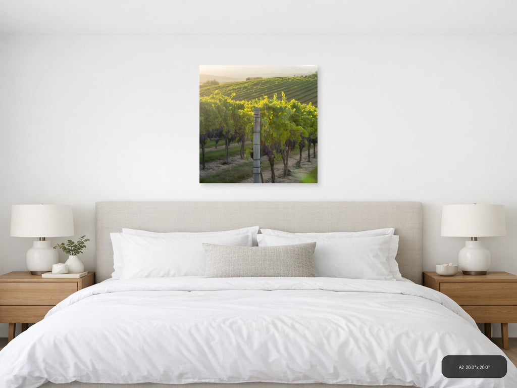 Wine — Minimalist (Square) Canvas Print | Minimalist Wall Art | A4 A3 A2 A1 — A2 / Bedroom