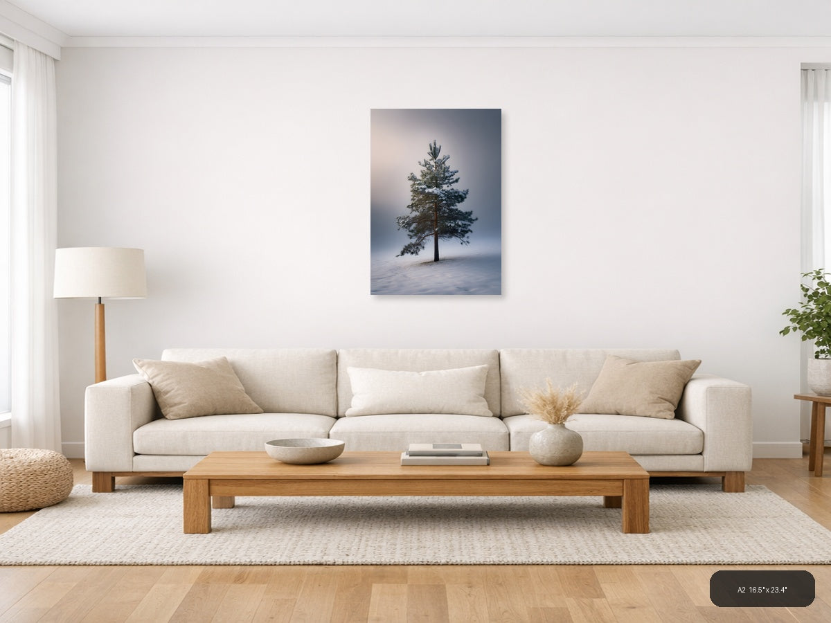 Solitary Pine Tree in Snow - Winter Photography Wall Art — A2 / Living Room