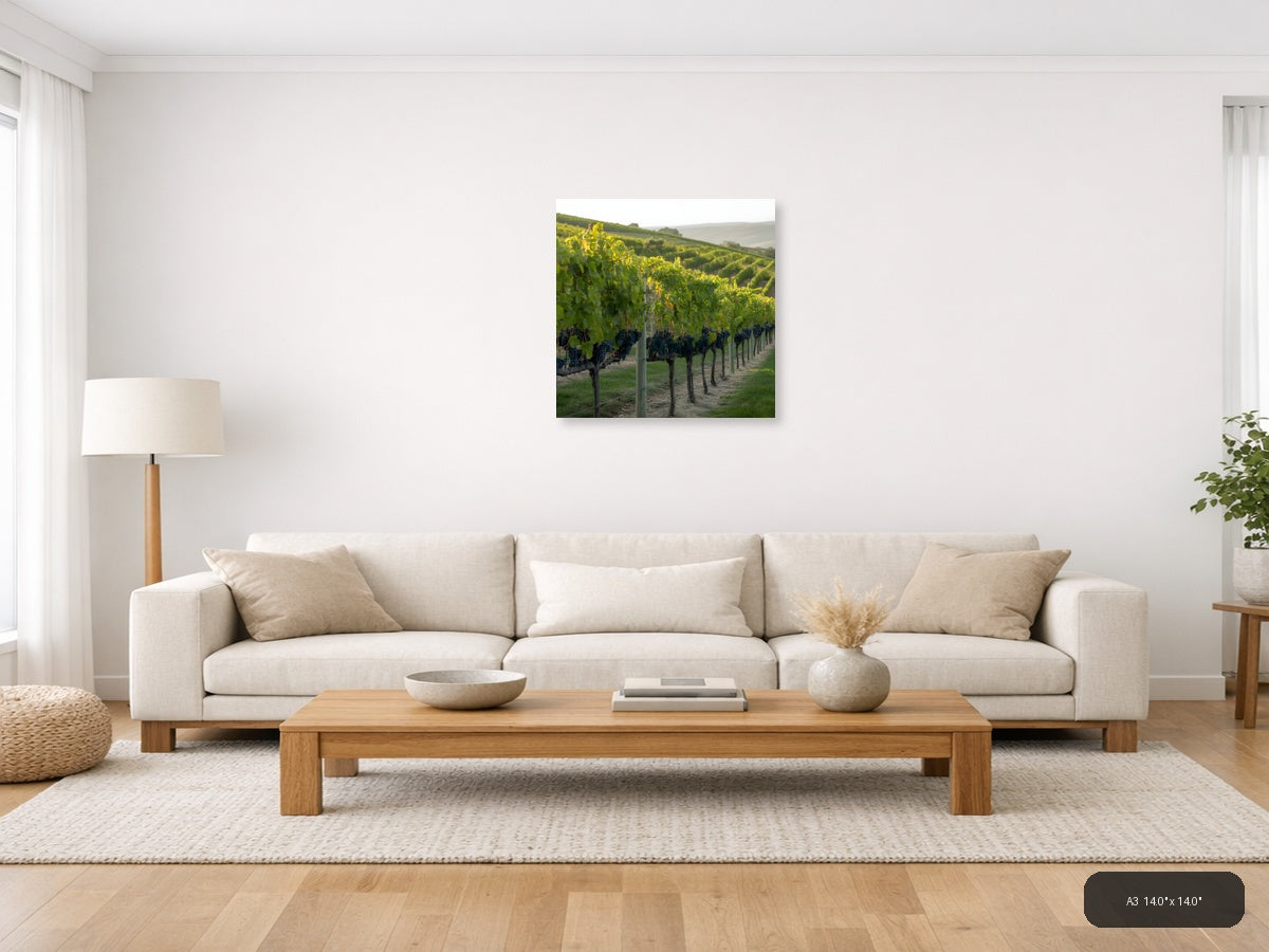 Vineyard Rows at Golden Hour - Minimalist Wall Art — A3 / Living Room