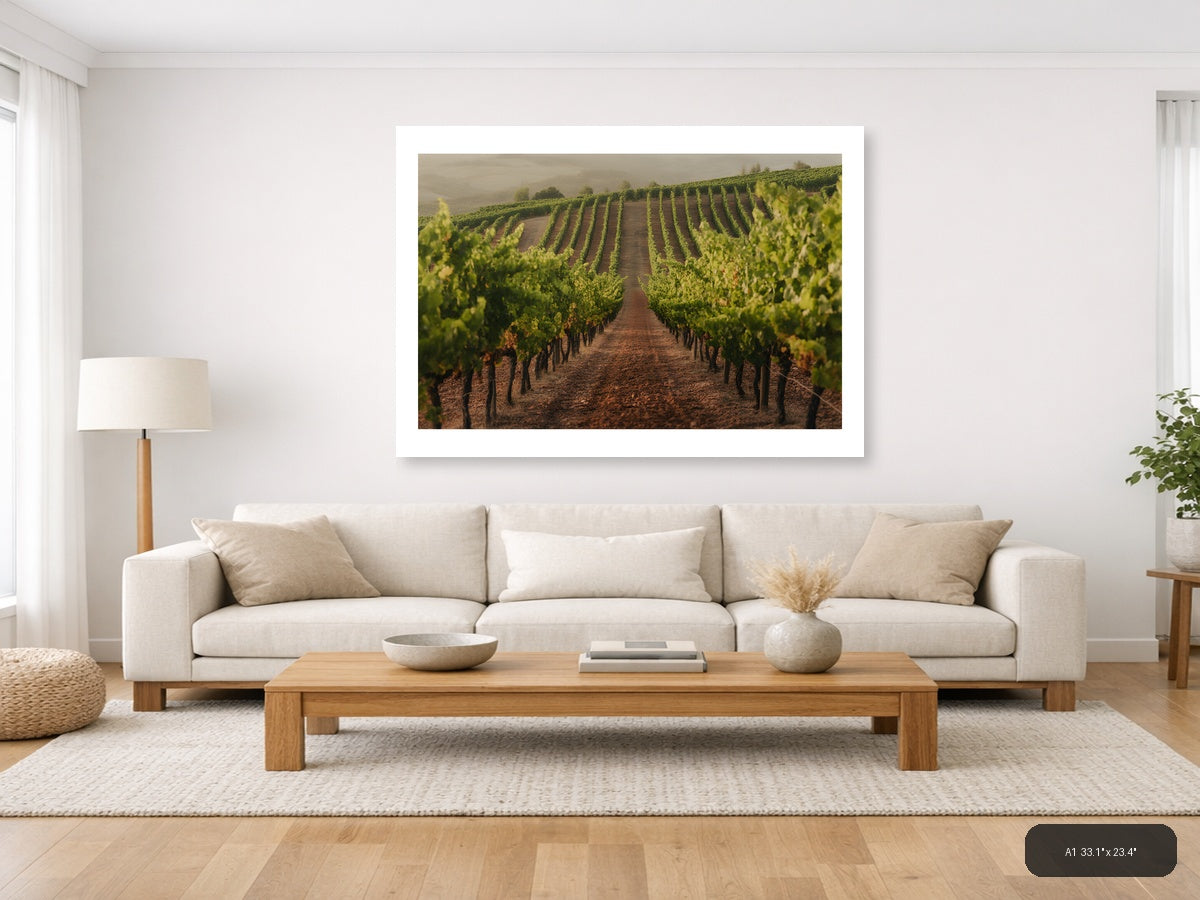 Misty Vineyard Rows Minimalist Landscape Wall Art — A1 / Living Room
