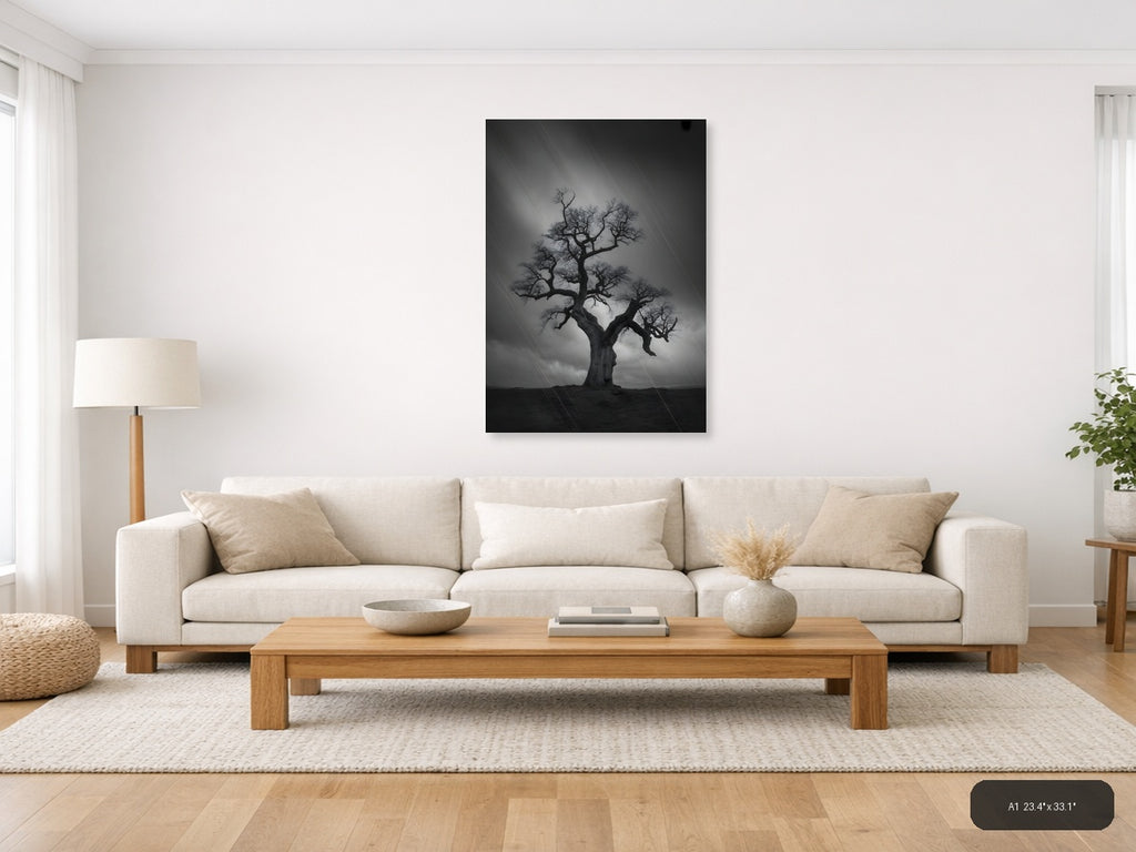 Bare Tree in Storm Rain Black and White Photography Wall Art — A1 / Living Room