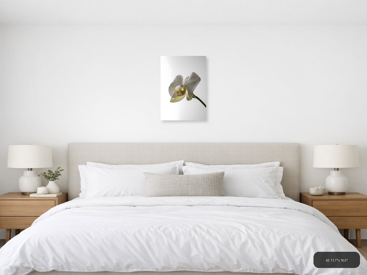 White Orchid Flower Minimalist Portrait Wall Art — A3 / Bedroom