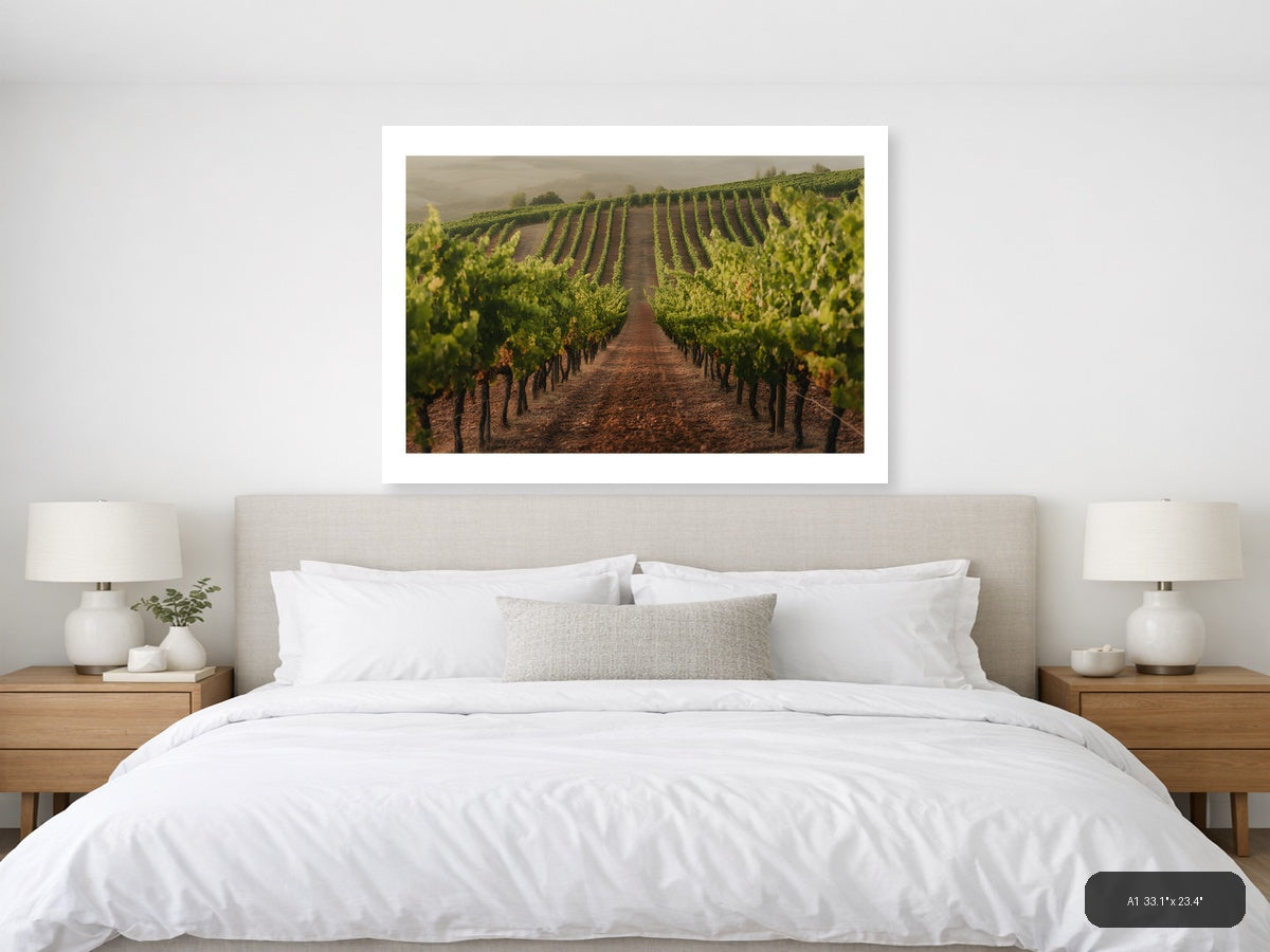 Misty Vineyard Rows Minimalist Landscape Wall Art — A1 / Bedroom