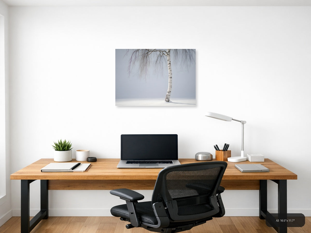 Minimalist Winter Birch Tree in Snow Landscape Wall Art — A3 / Office