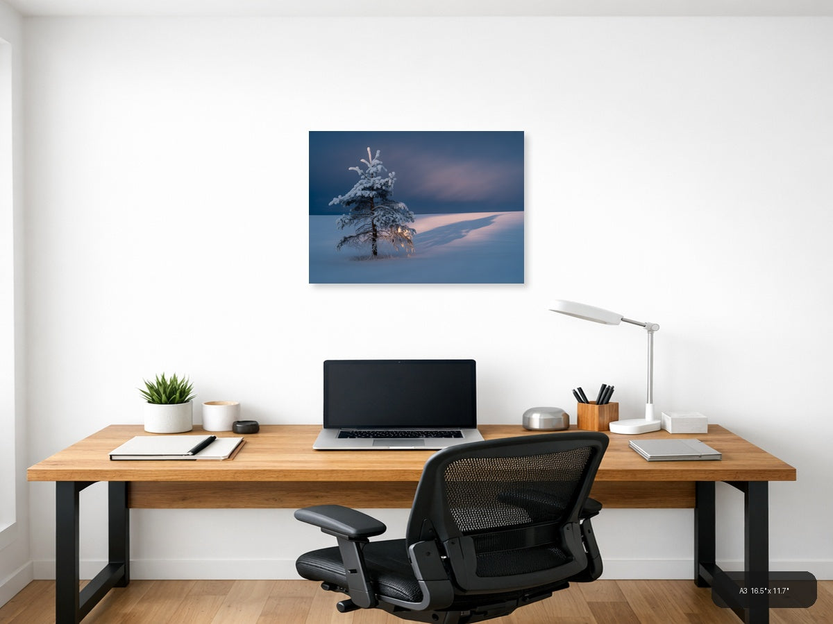 Frost-Covered Pine Tree in Winter Landscape Photography Wall Art — A3 / Office