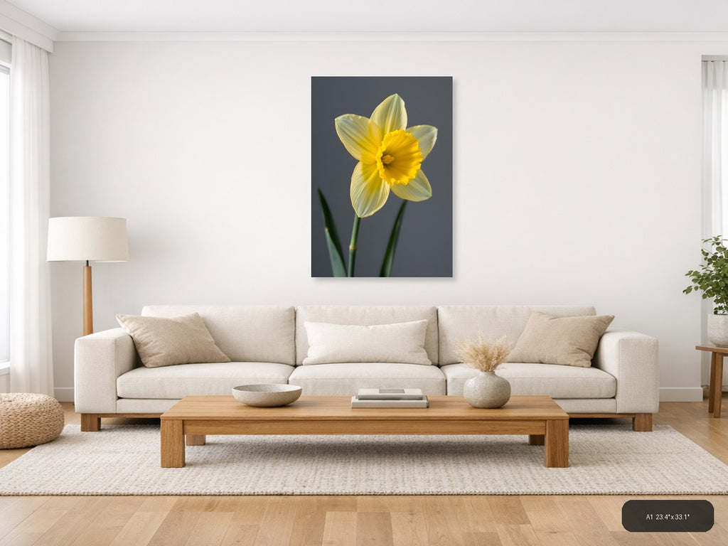 Yellow Daffodil Minimalist Flower Portrait Wall Art — A1 / Living Room