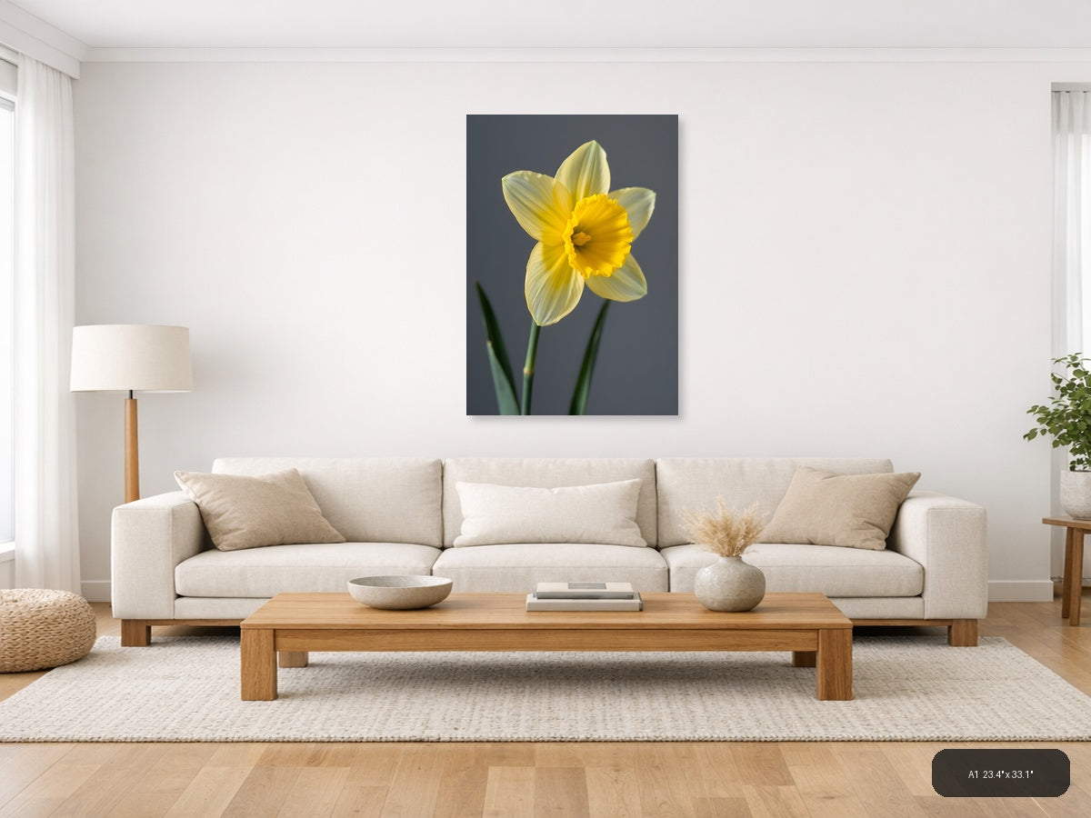 Yellow Daffodil Minimalist Flower Portrait Wall Art — A1 / Living Room