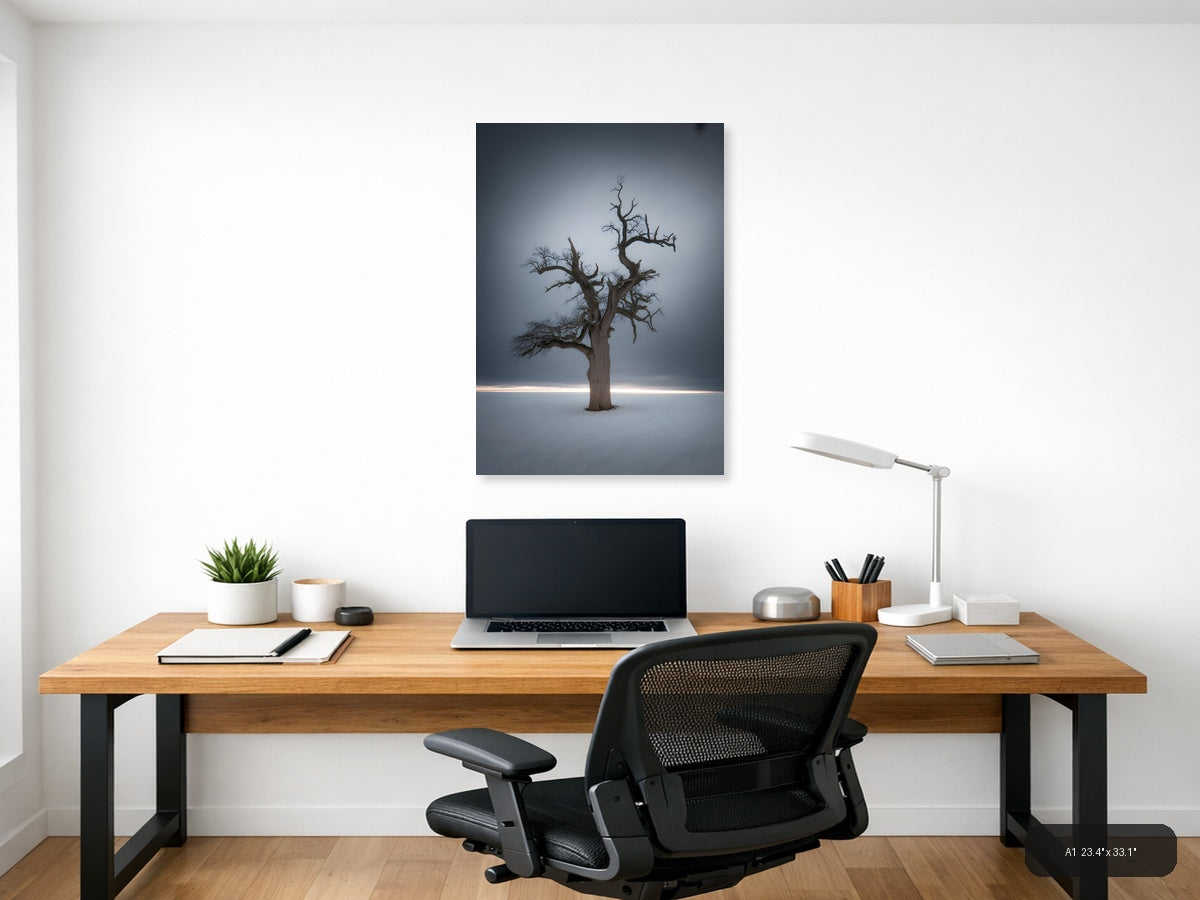 Bare Dead Tree in Snow Storm Photography Wall Art — A1 / Office