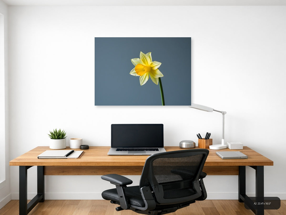 Yellow Daffodil Minimalist Flower Wall Art — A2 / Office