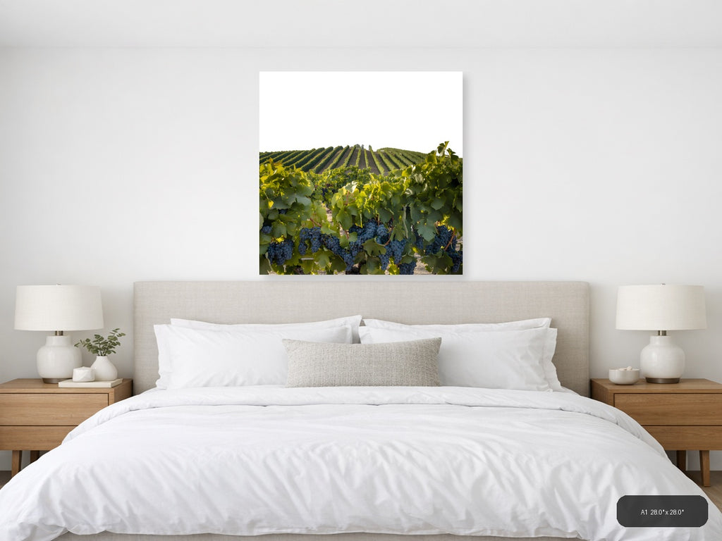 Vineyard Harvest Landscape Minimalist Wall Art — A1 / Bedroom