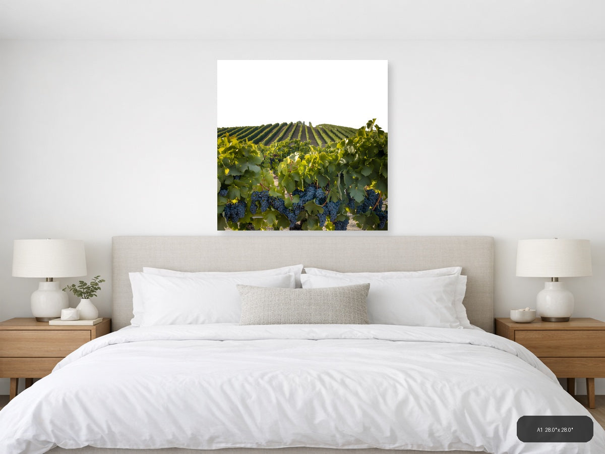 Vineyard Harvest Landscape Minimalist Wall Art — A1 / Bedroom