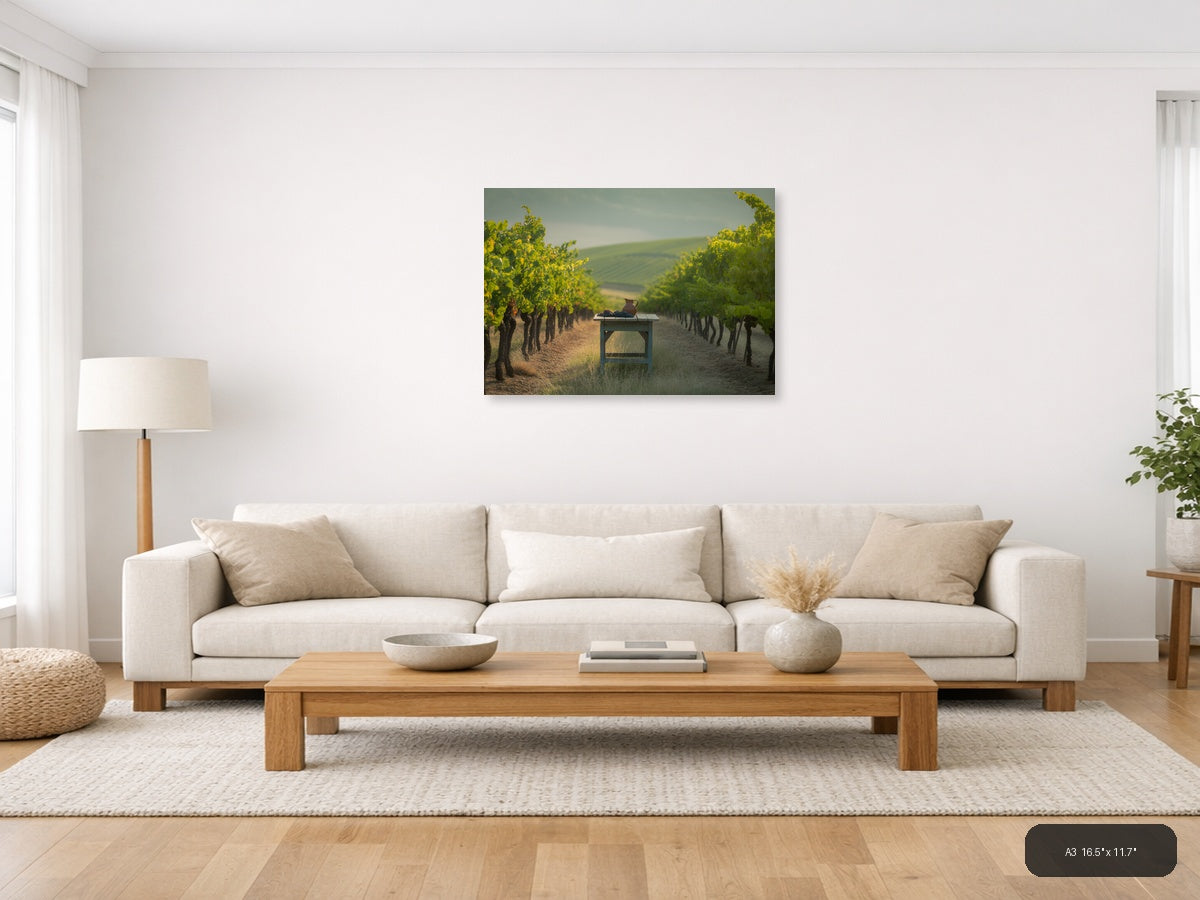 Vineyard Harvest Minimalist Landscape Wall Art — A3 / Living Room