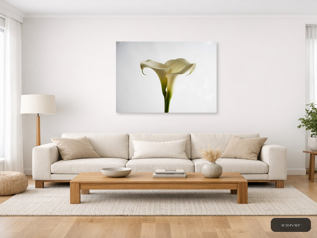 White Calla Lily Minimalist Botanical Wall Art — A2 / Living Room