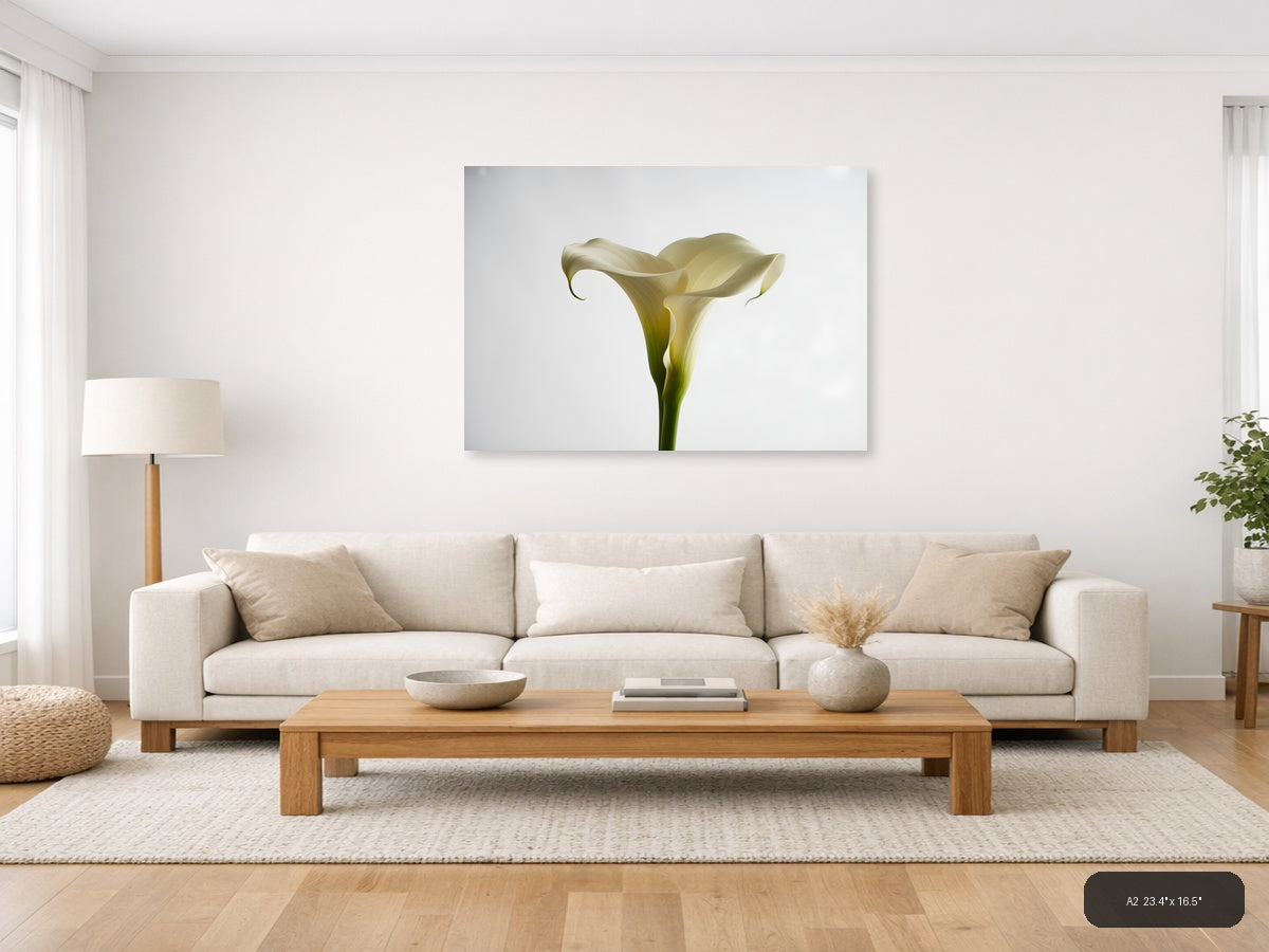 White Calla Lily Minimalist Botanical Wall Art — A2 / Living Room