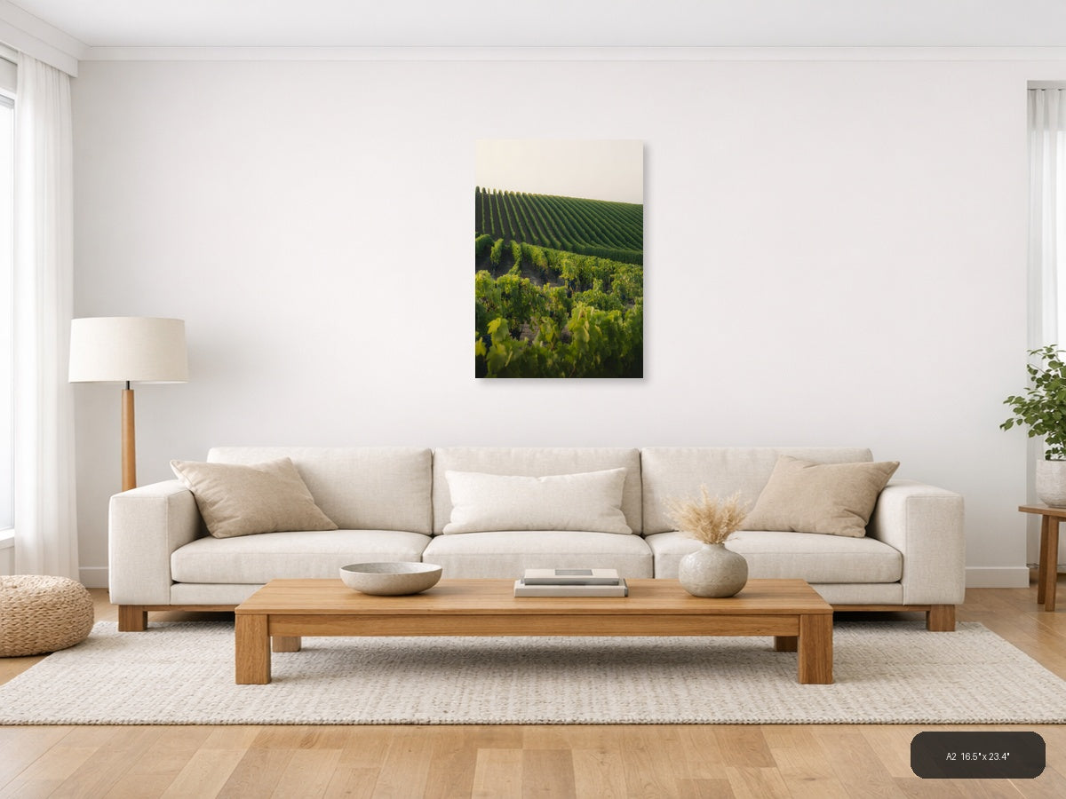 Rolling Vineyard Rows Minimalist Landscape Wall Art — A2 / Living Room