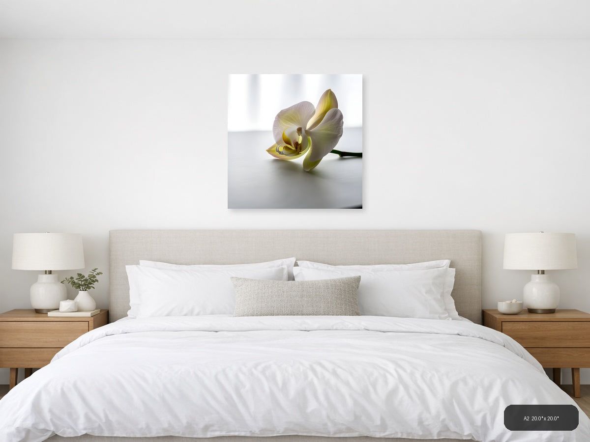 Minimalist Yellow Orchid Flower Wall Art — A2 / Bedroom