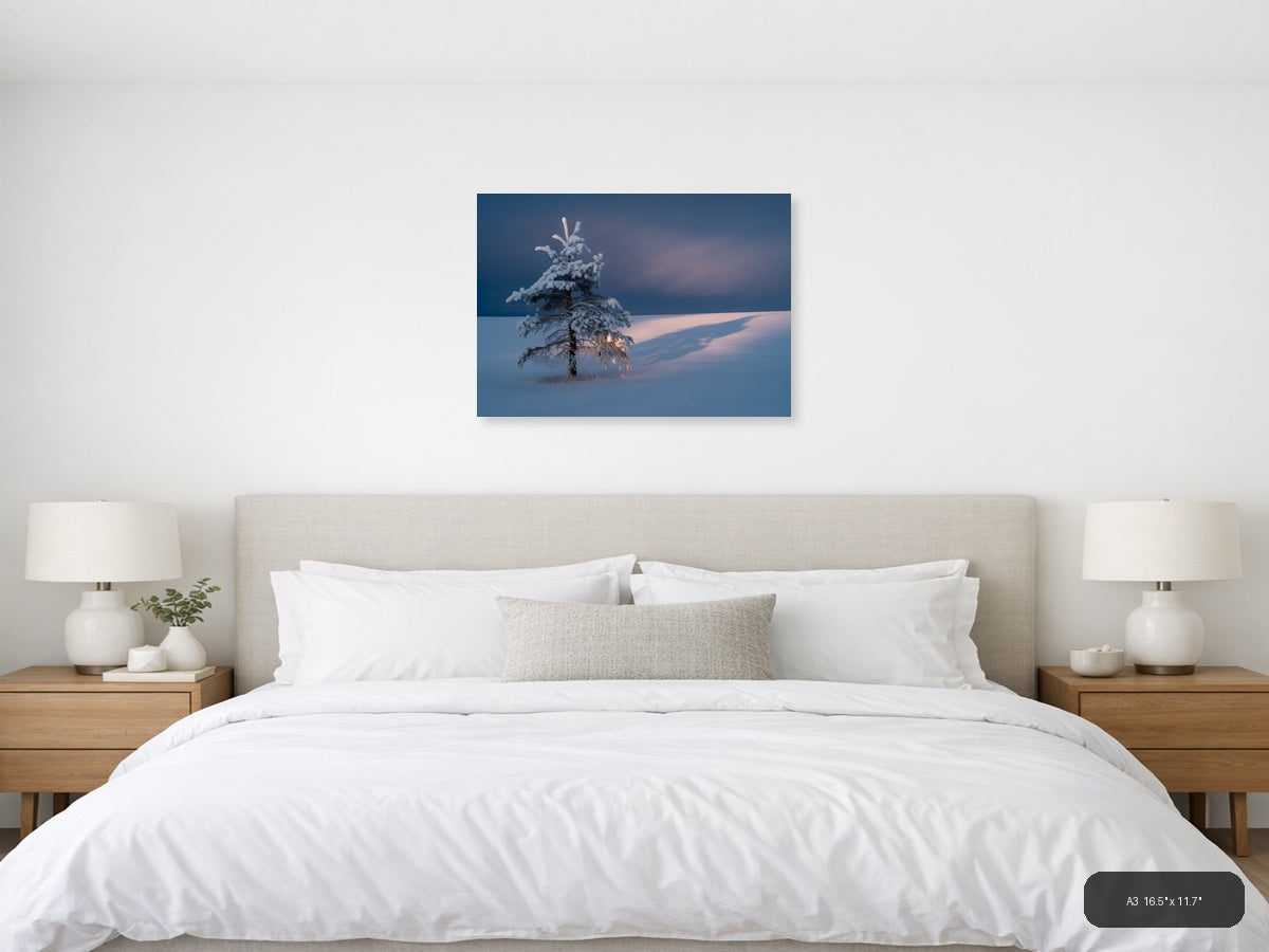 Frost-Covered Pine Tree in Winter Landscape Photography Wall Art — A3 / Bedroom