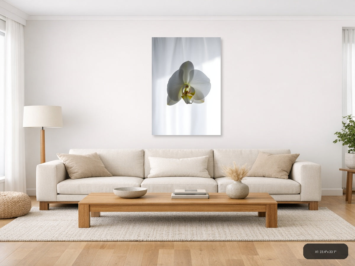 White Orchid Minimalist Botanical Portrait Wall Art — A1 / Living Room