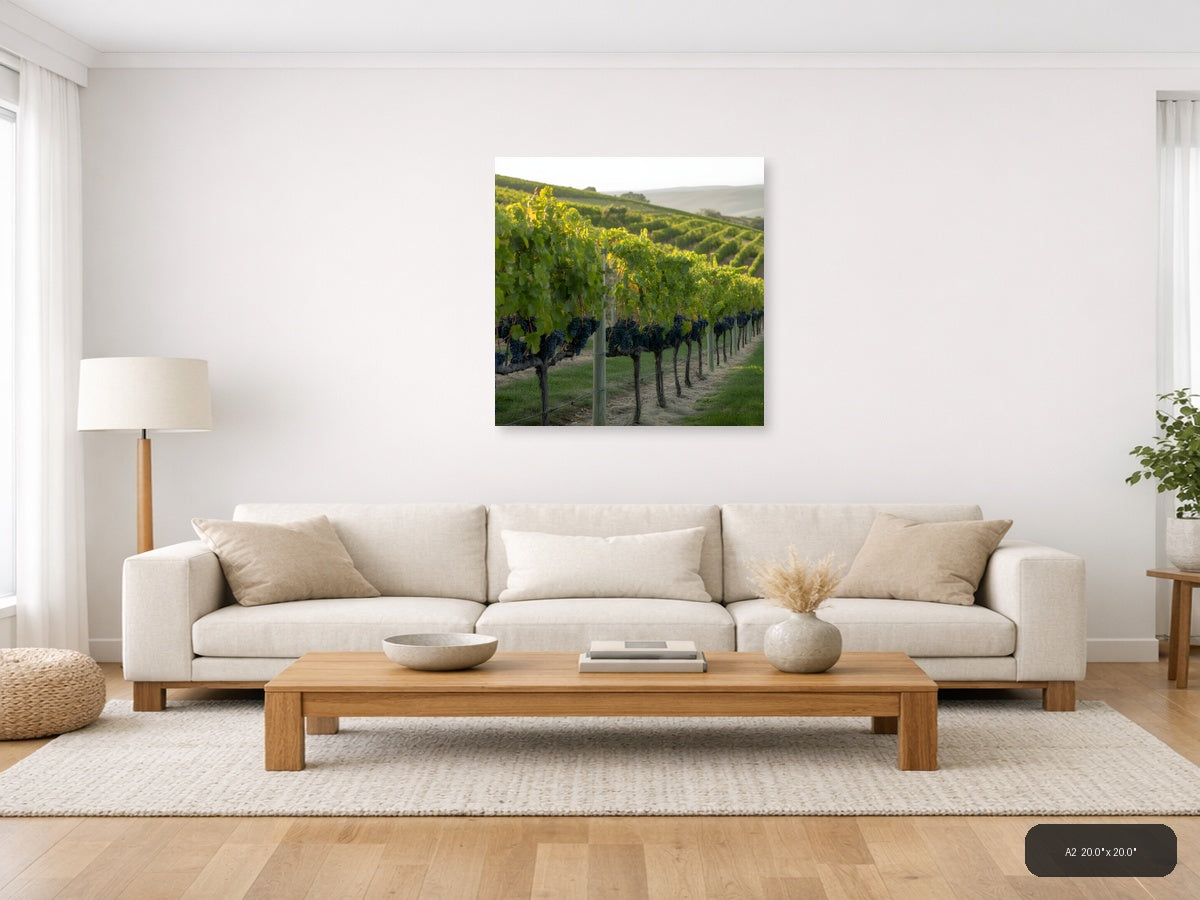 Vineyard Rows at Golden Hour - Minimalist Wall Art — A2 / Living Room