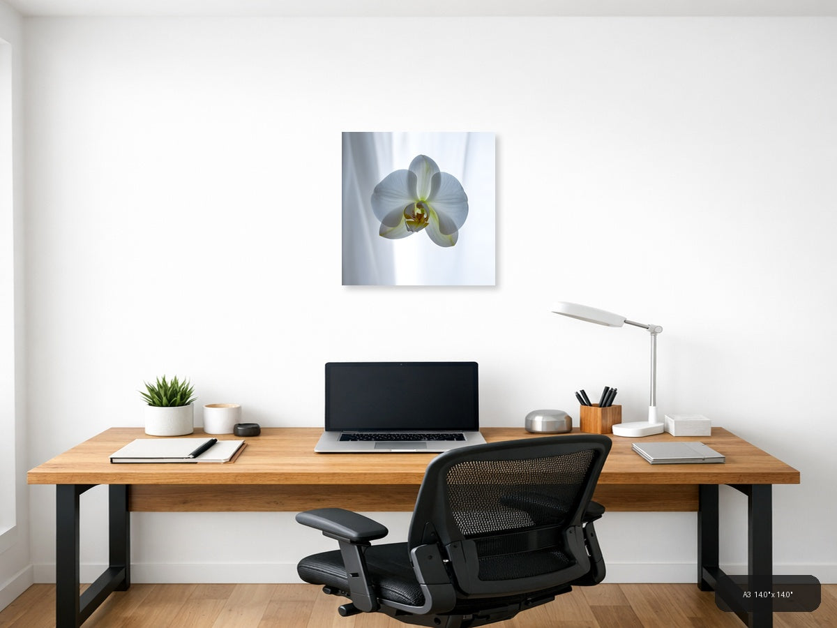 White Orchid Minimalist Botanical Wall Art — A3 / Office