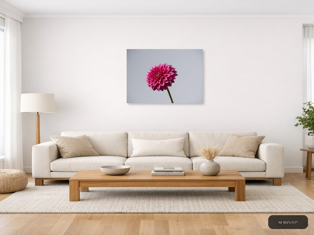 Pink Dahlia Minimalist Flower Wall Art — A3 / Living Room