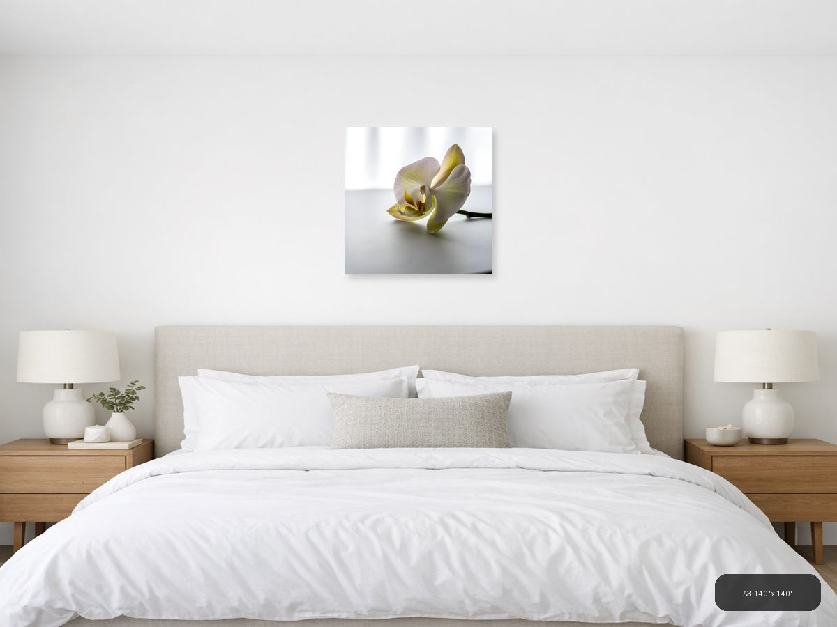 Minimalist Yellow Orchid Flower Wall Art — A3 / Bedroom