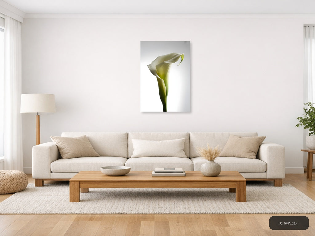 White Calla Lily with Dew Drops Minimalist Wall Art — A2 / Living Room