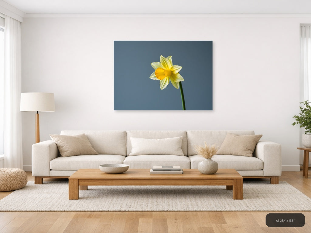 Yellow Daffodil Minimalist Flower Wall Art — A2 / Living Room
