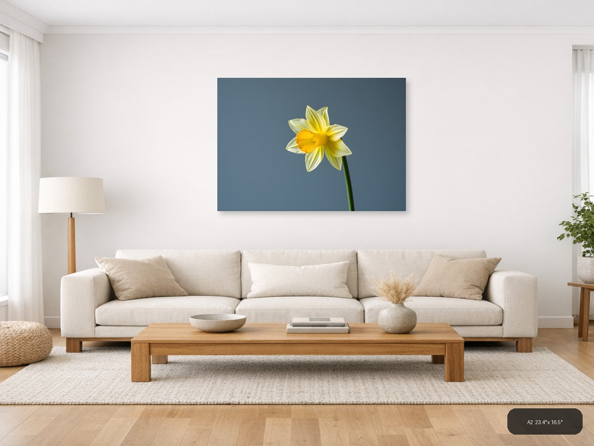 Yellow Daffodil Minimalist Flower Wall Art — A2 / Living Room