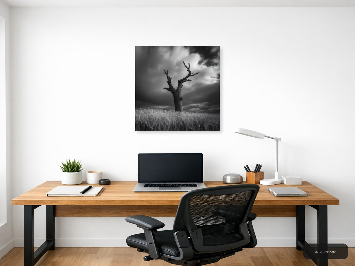 Dead Tree in Wheat Field Black and White Photography Wall Art — A2 / Office
