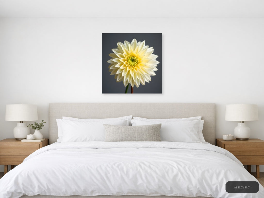 Yellow and White Dahlia Flower Minimalist Wall Art — A2 / Bedroom