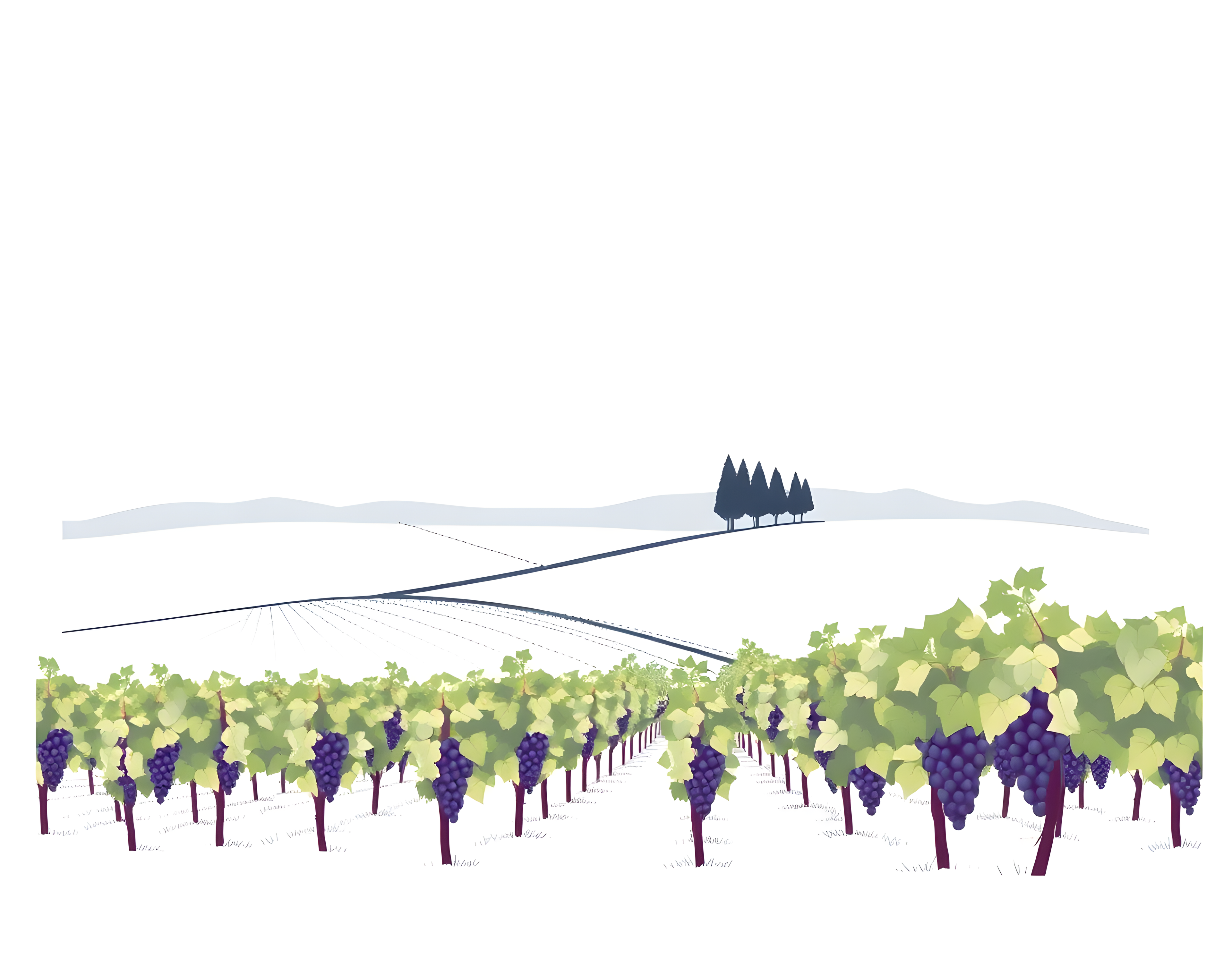 Minimalist Vineyard Landscape with Rolling Hills Wall Art