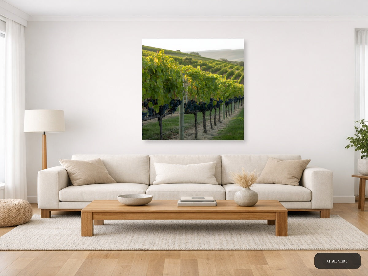 Vineyard Rows at Golden Hour - Minimalist Wall Art — A1 / Living Room
