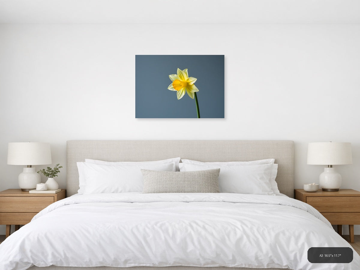 Yellow Daffodil Minimalist Flower Wall Art — A3 / Bedroom