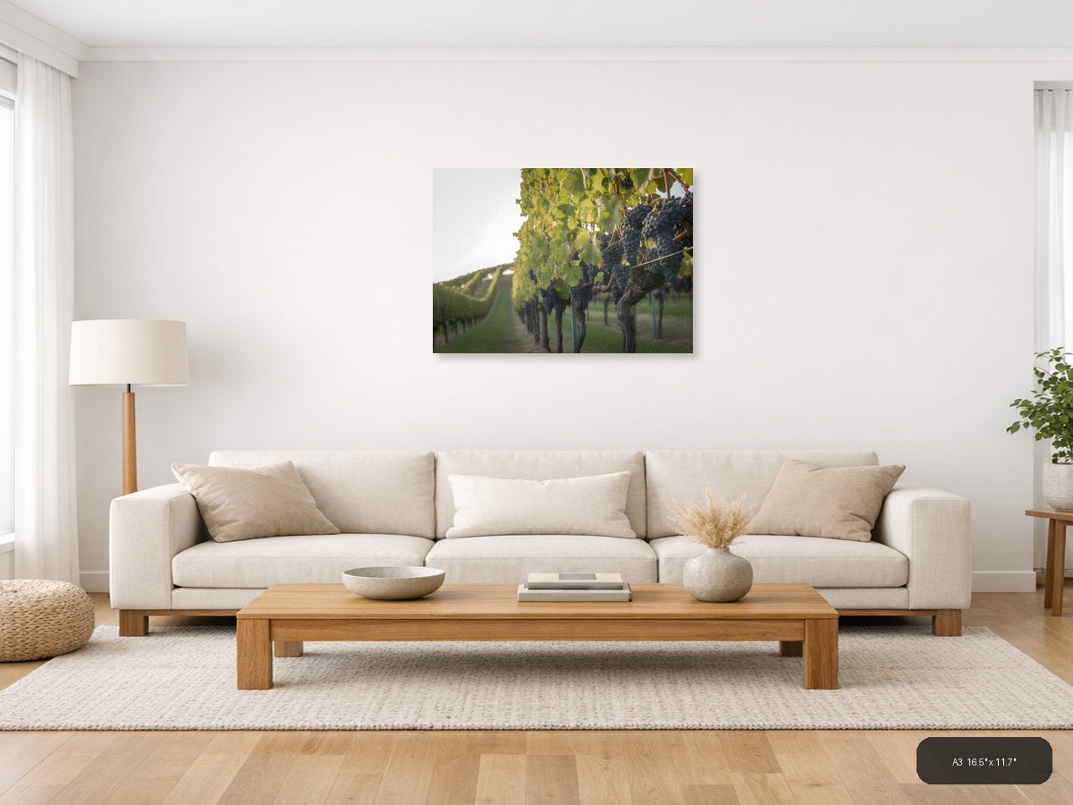Vineyard Rows Minimalist Landscape Wall Art — A3 / Living Room