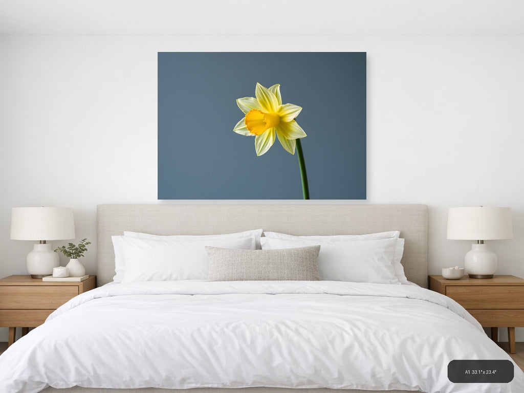 Yellow Daffodil Minimalist Flower Wall Art — A1 / Bedroom