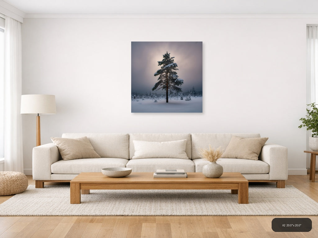 Snow-Covered Pine Tree Winter Forest Photography Wall Art — A2 / Living Room