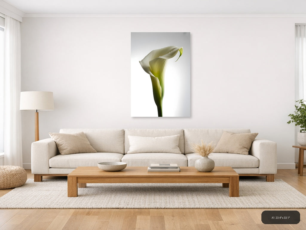 White Calla Lily with Dew Drops Minimalist Wall Art — A1 / Living Room