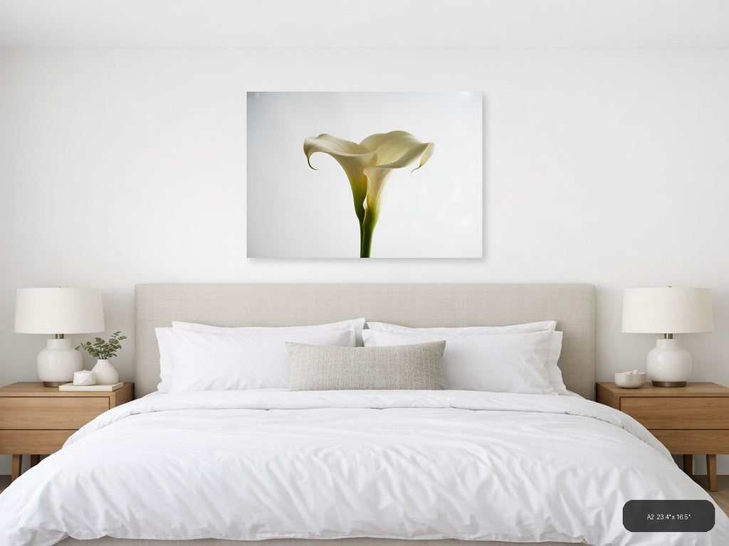 White Calla Lily Minimalist Botanical Wall Art — A2 / Bedroom