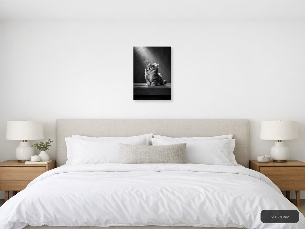Fluffy Kitten Portrait Black and White Photography Wall Art — A3 / Bedroom