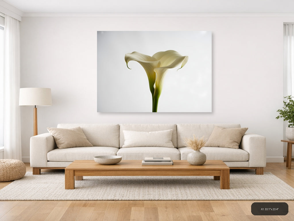 White Calla Lily Minimalist Botanical Wall Art — A1 / Living Room