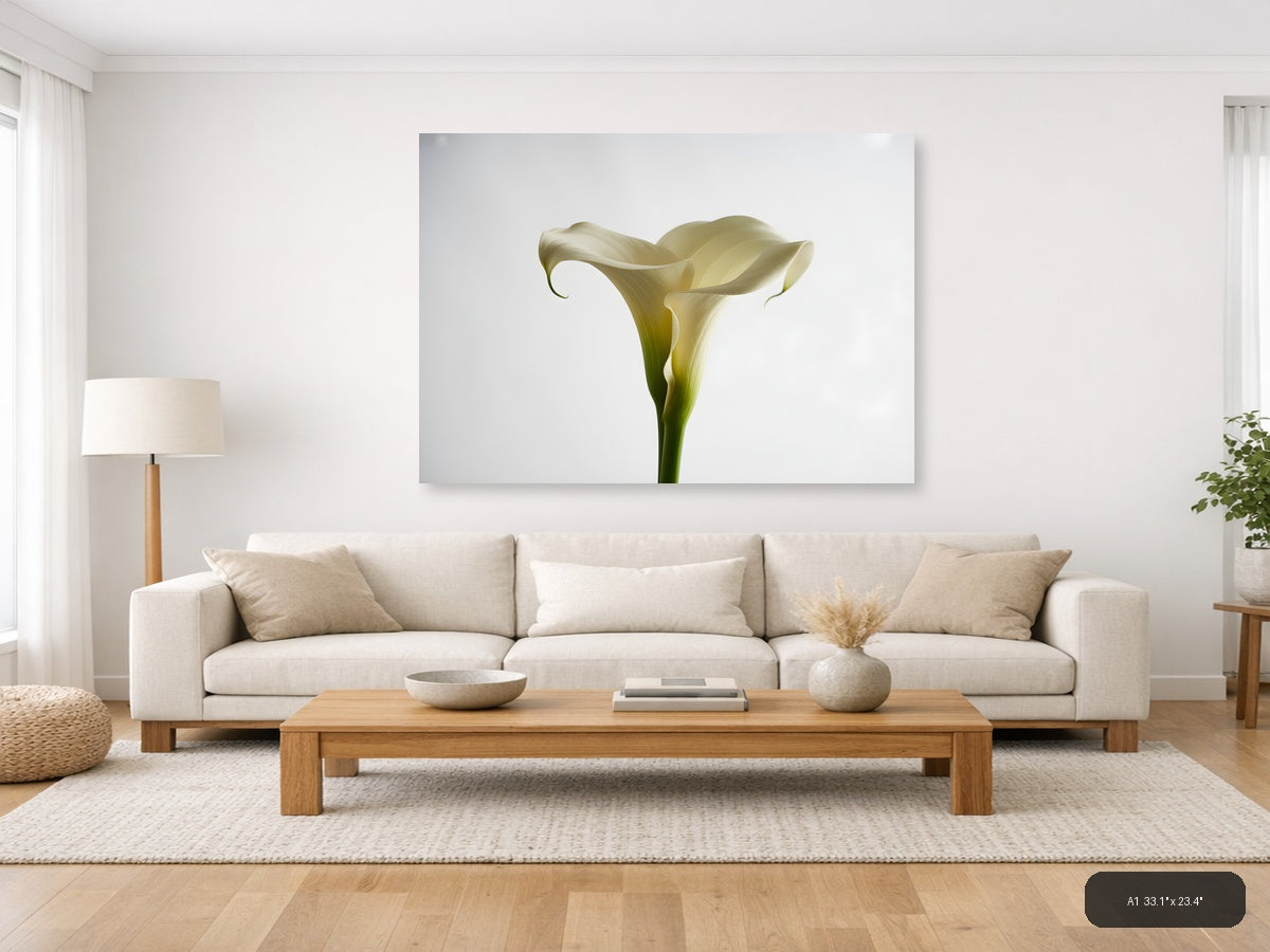 White Calla Lily Minimalist Botanical Wall Art — A1 / Living Room