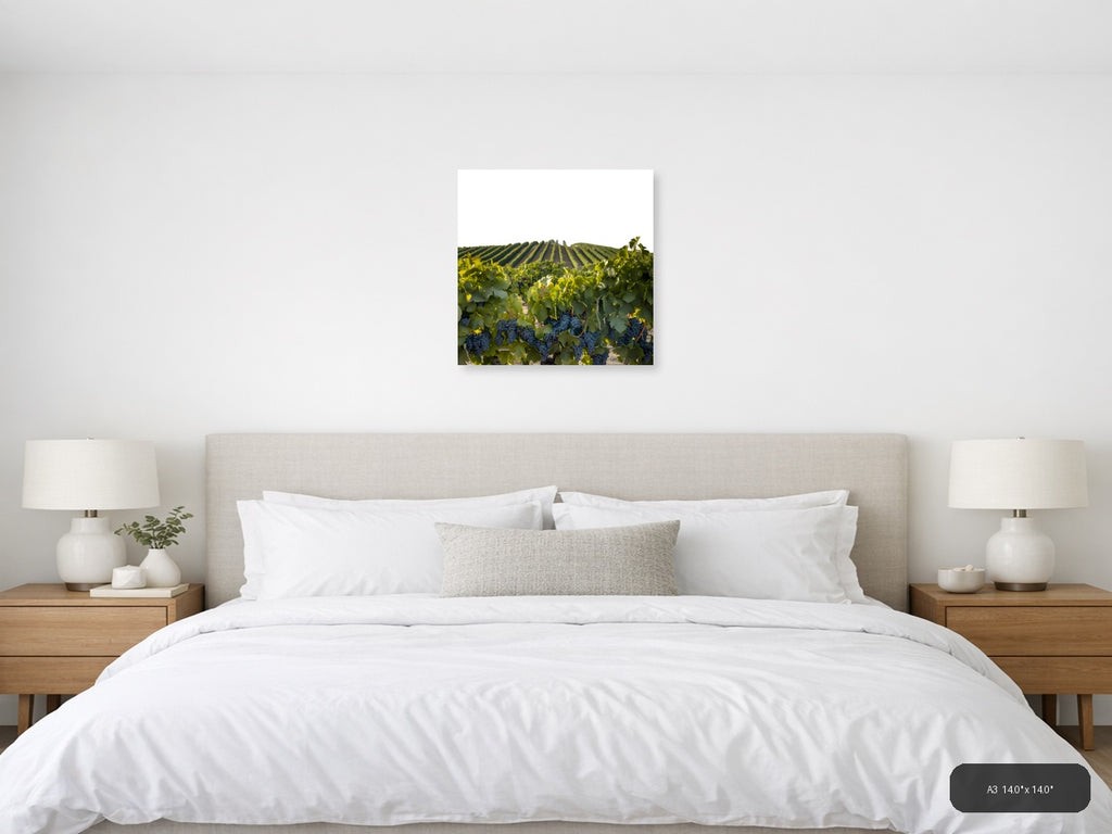 Vineyard Harvest Landscape Minimalist Wall Art — A3 / Bedroom