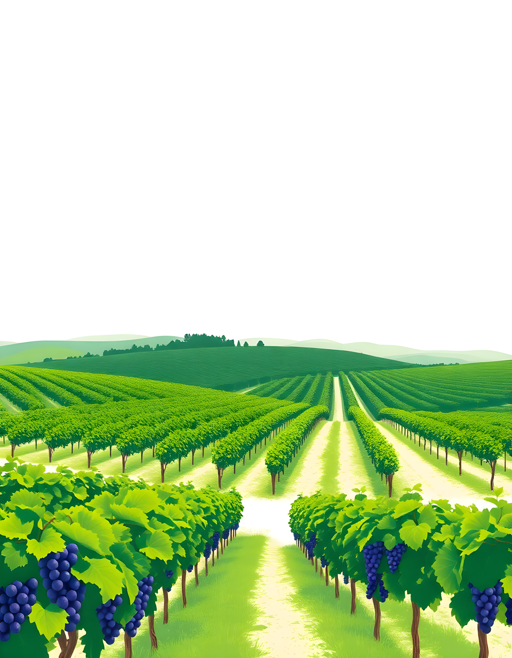 Minimalist Vineyard Landscape with Rolling Hills Wall Art