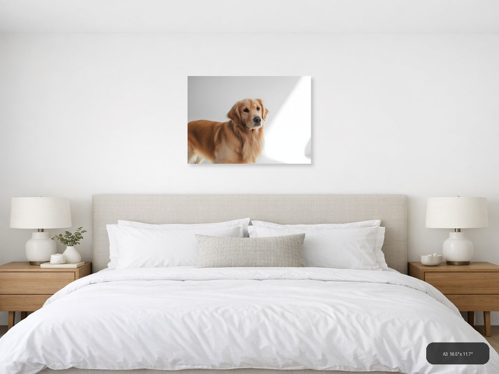 Golden Retriever Portrait Minimalist Wall Art — A3 / Bedroom