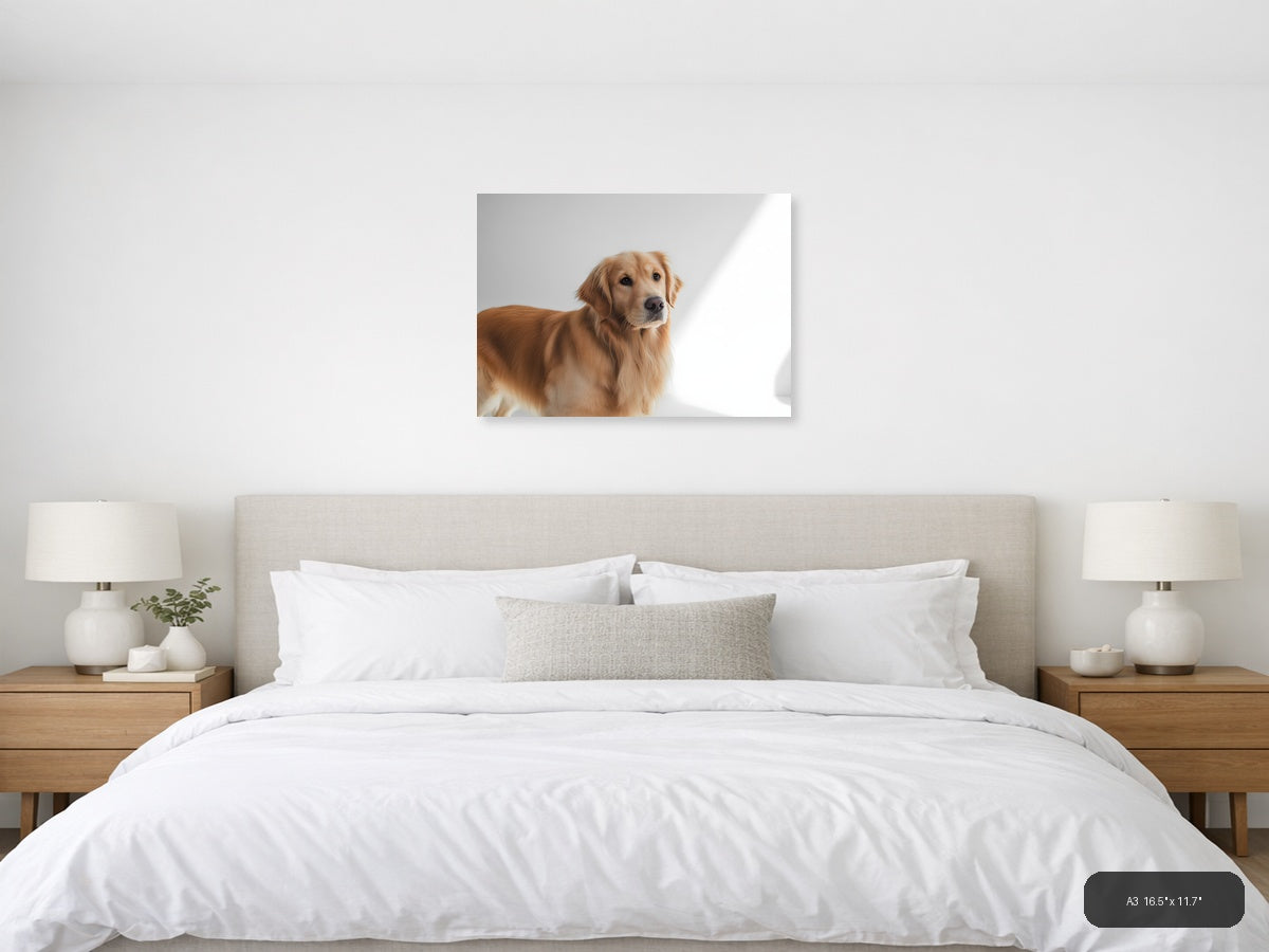 Golden Retriever Portrait Minimalist Wall Art — A3 / Bedroom
