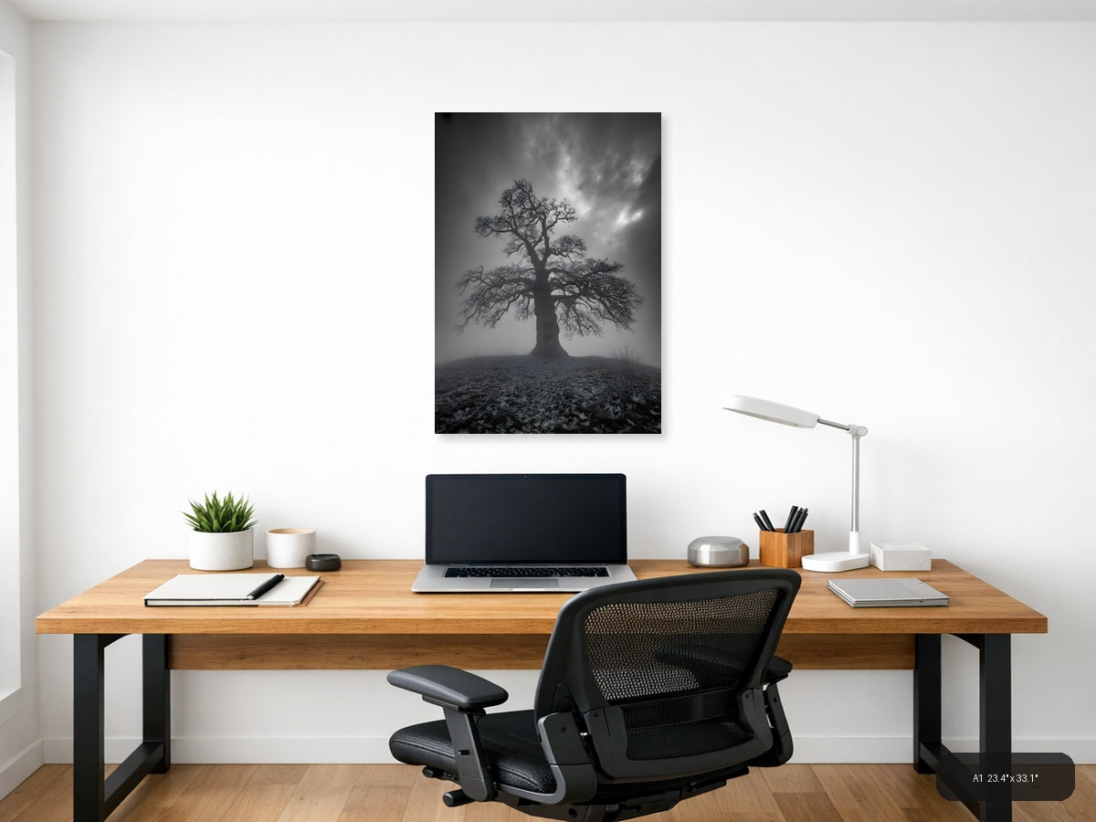 Bare Tree in Mist - Black & White Photography Wall Art — A1 / Office